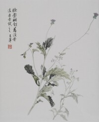 野草閑花各自春