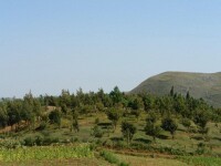 西山村[昆明尋甸回族彝族自治縣塘子鎮下轄村]