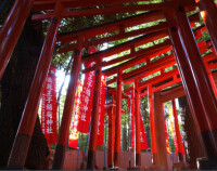 乃木神社