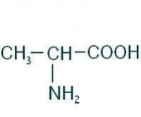 丙氨酸