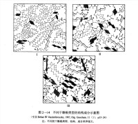 不同類型乾酪根的結構成分示意圖