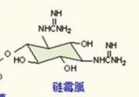 鏈霉胍結構圖