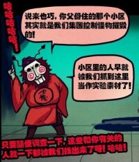 王不君說出苟氏集團的行為