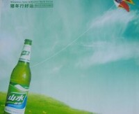 青菏泉啤酒有限公司