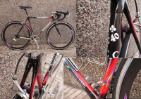 colnago