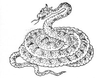 修蛇[中國古代神獸]