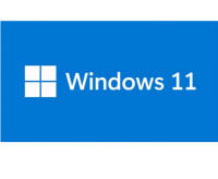 Windows 11