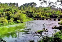 沙陂鎮那新村耀河橋