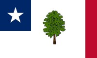 1861年州旗-木蘭旗