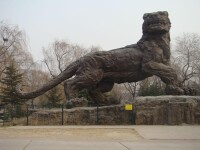 北京動物園獅虎山