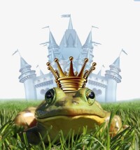 青蛙王子請求進入城堡