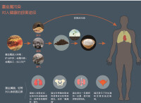 鎘及其化合物中毒