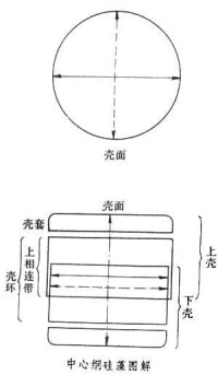 中心綱