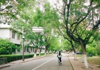 藥學院館內花園