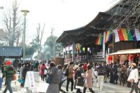 日本在年初會去神社參拜，稱為“初詣”