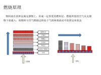 垃圾焚燒