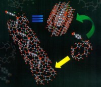 分子自組裝