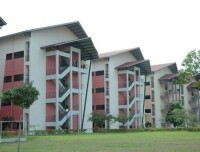 林登大學學院