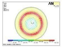 導體內部磁場強度矢量圖