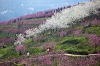 桃花山風景區[遼寧省朝陽市桃花山風景區]