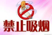 禁止吸煙[莉扎·利竇繪畫作品《禁止吸煙》]