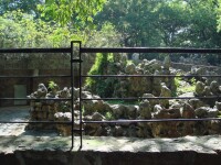 上海動物園動物展區