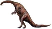 板龍[早期恐龍]圖片