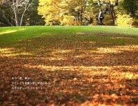 東京公園劇照