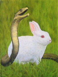 蛇盤兔