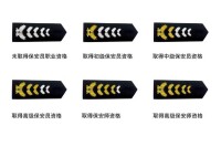 2011式中國保安肩章