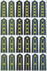 解放軍2007式校官軍銜肩章