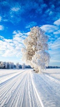 下雪圖片