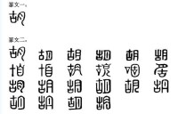 胡[漢語漢字]