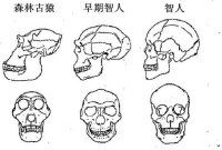 人種變遷