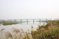 東荊河的風景照