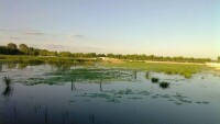 固原清水河國家濕地公園