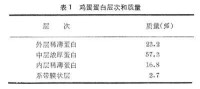 蛋和蛋製品