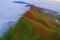 大高山