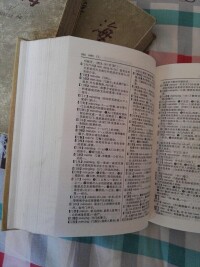 漢語5000詞用法詞典