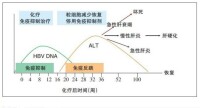 HBV-DNA