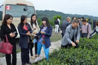 騎龍村[四川省雅安市名山區雙河鄉騎龍村]