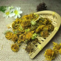 紅河燈盞花