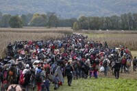 歐洲難民