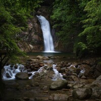 醉山野