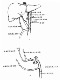 中心靜脈壓測定&amp;amp;amp