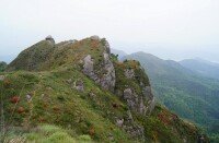 登高山