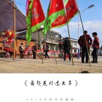 攝影組圖《舞起龍燈過大年》（夏家砦）