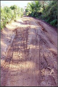 進村道路