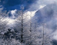 雲霧瀰漫