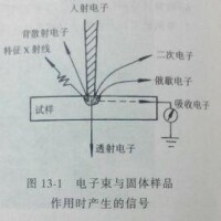 二次電子像